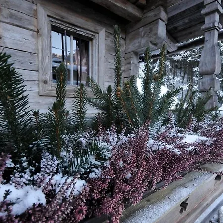 Semesterbostad Forsthaus Daringer *