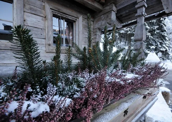 Feriehus Forsthaus Daringer *